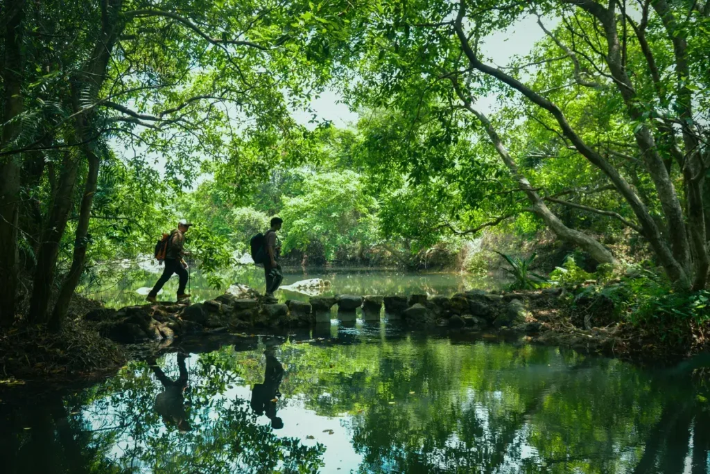 🌲 廣西崇左親子度假強推!住進黑水河畔「在野宿集」蘑菇屋,比新西蘭還震撼的喀斯特仙境 廣西崇左親子度假強推住進黑水河畔在野宿集蘑菇屋,比新西蘭還震撼的喀斯特仙配圖,香港人旅行參考圖片