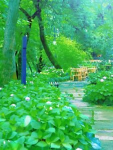 杭州西溪濕地呢個價幾值得 bookmark，想行下自然景、影相、慢慢 hea 半日可以留意。