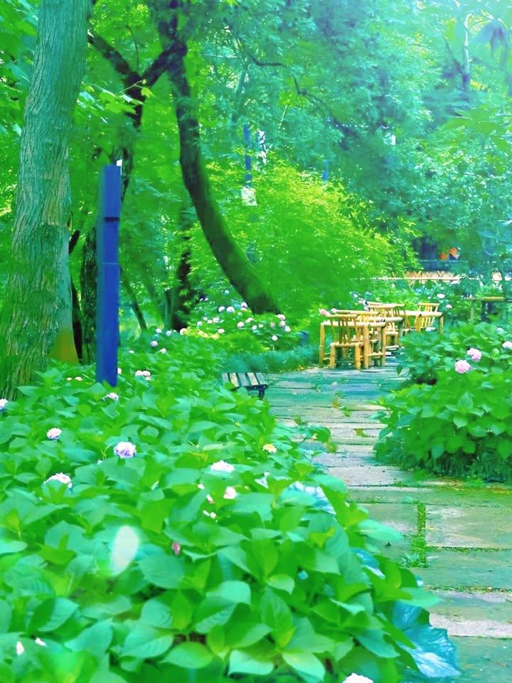 中國杭州西溪濕地呢個價幾值得 bookmark，想行下自然景、影配圖,香港人旅行攻略視覺素材