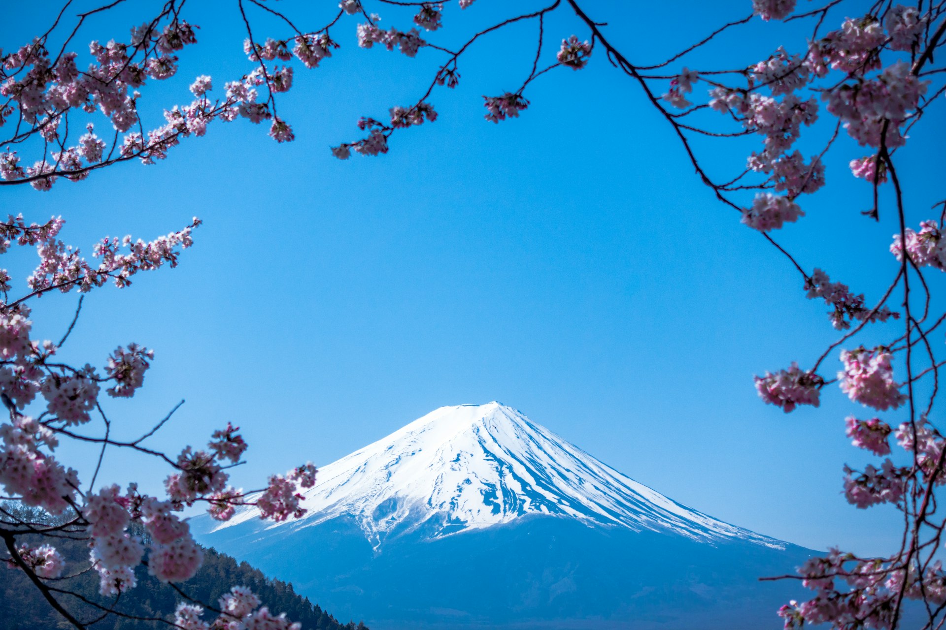 請假去旅行 · 慳住放假 Japan Mt Fuji Hero