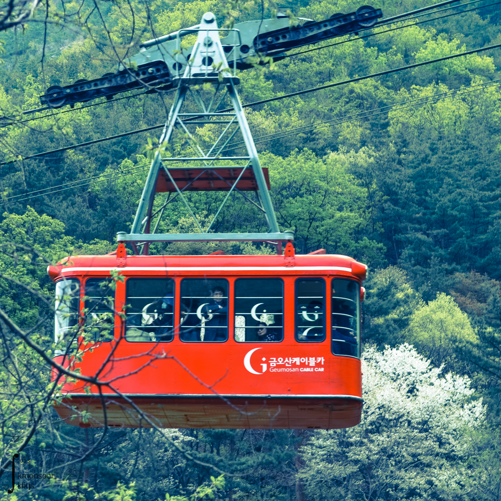 韓國龜尾金烏山纜車車廂近景，山林背景