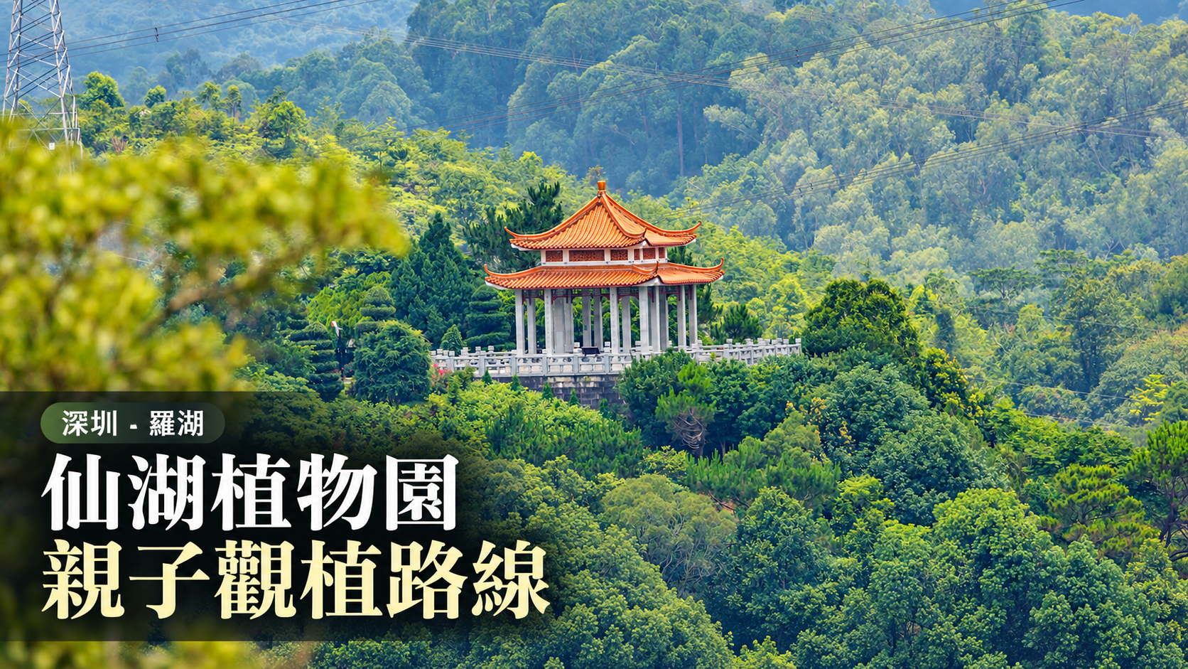 深圳仙湖植物園山林與亭閣，2023年實拍照片製作的親子遊封面