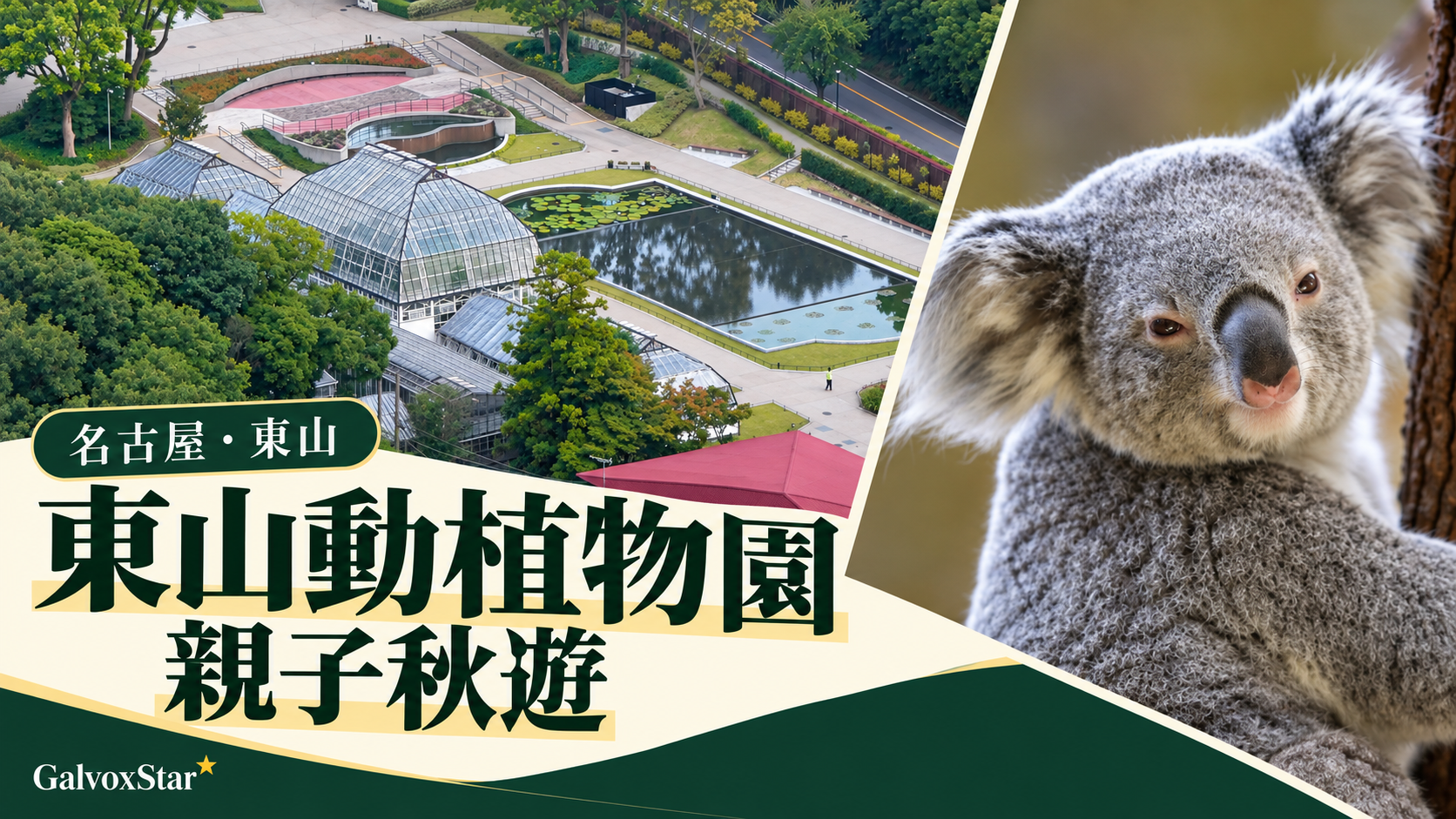 名古屋東山動植物園的植物園溫室與考拉舊照組合封面