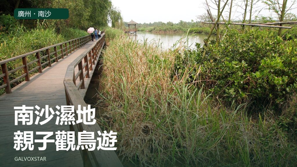 南沙濕地木棧道、水邊與遠方觀景亭，2012年實拍