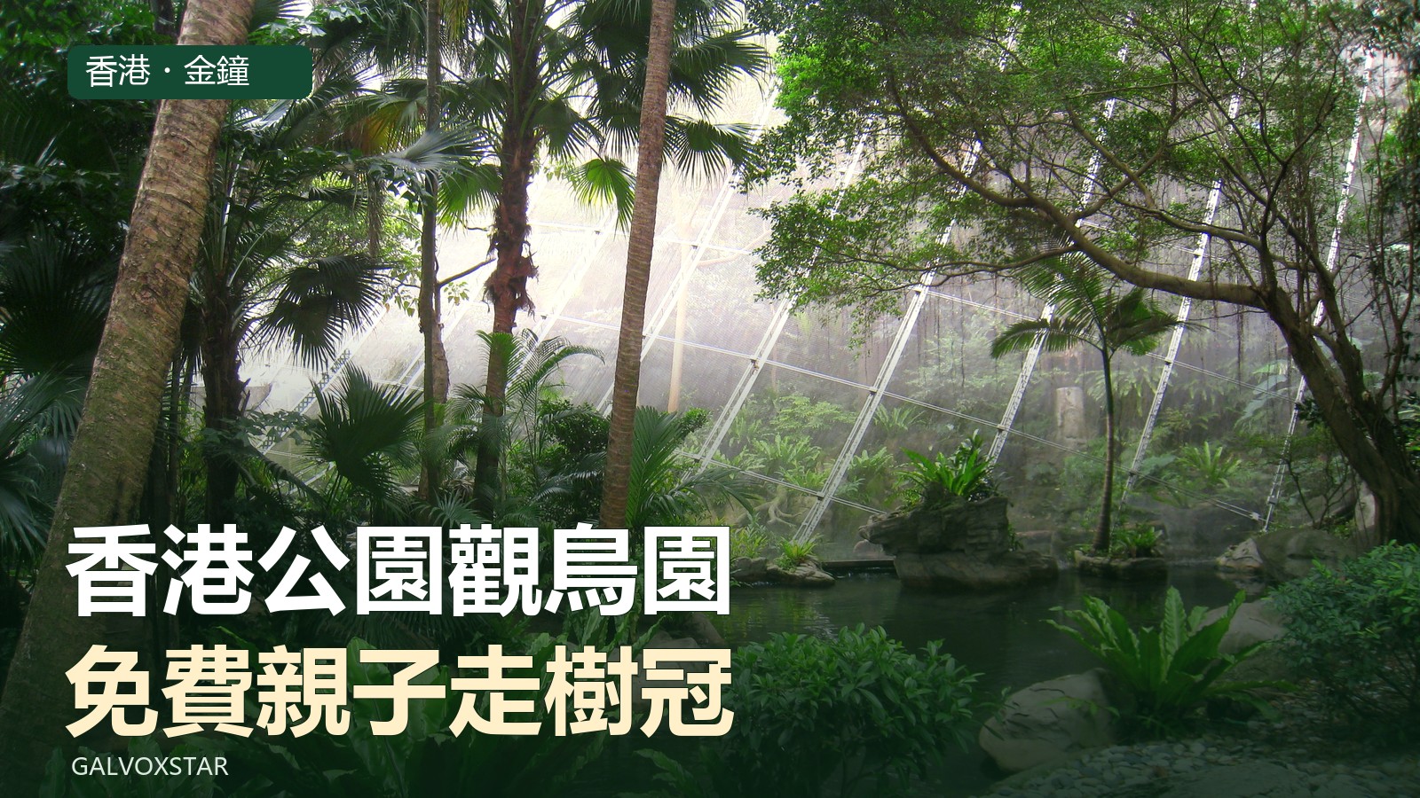 香港公園尤德觀鳥園內樹木與圍網,2011年實拍