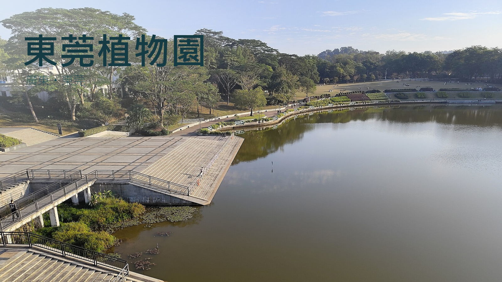 東莞植物園湖邊廣場2025年實拍改作封面