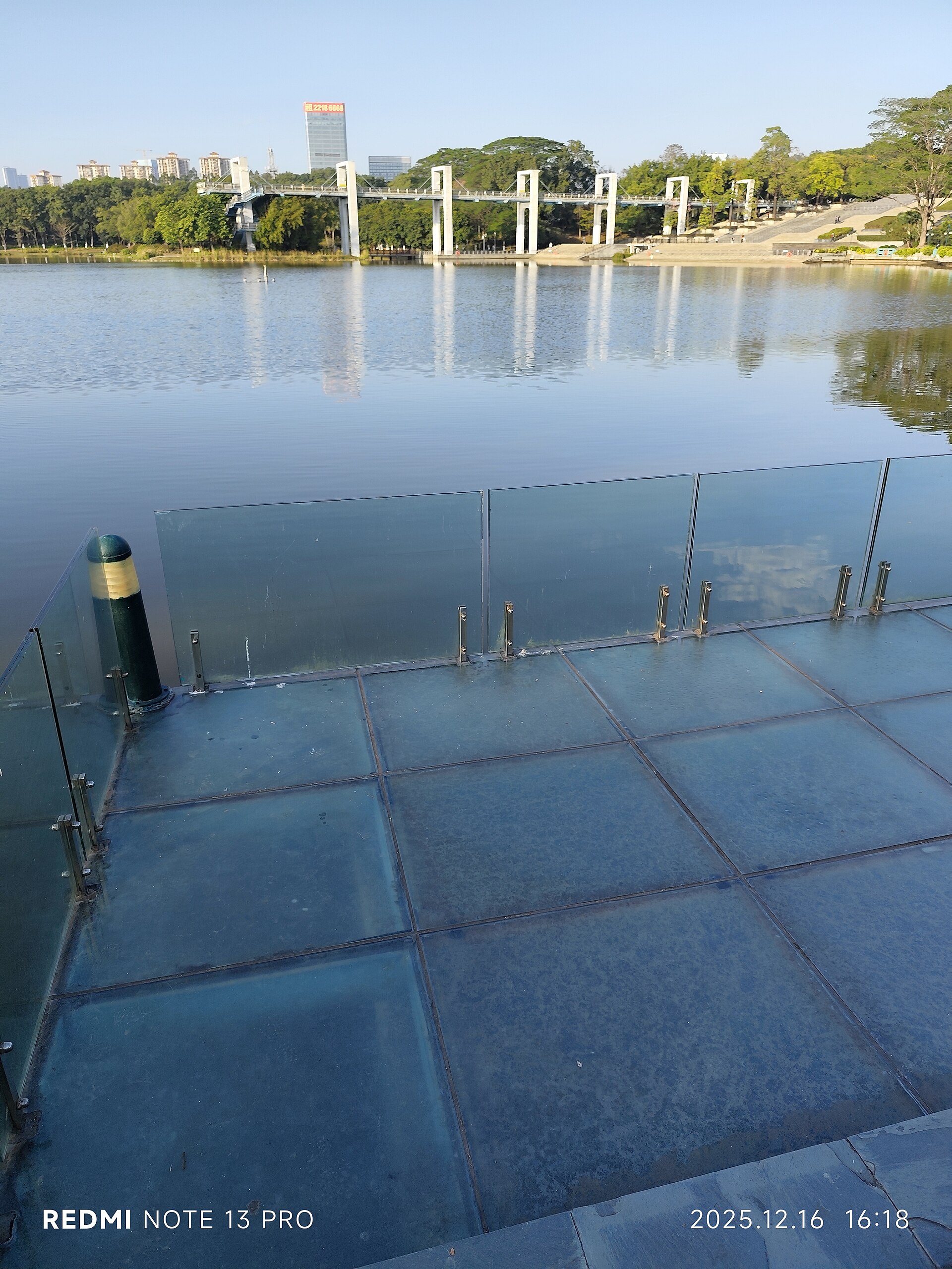 東莞植物園湖面與凌波橋2025年實拍