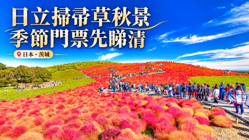 日立海濱公園掃帚草2026封面