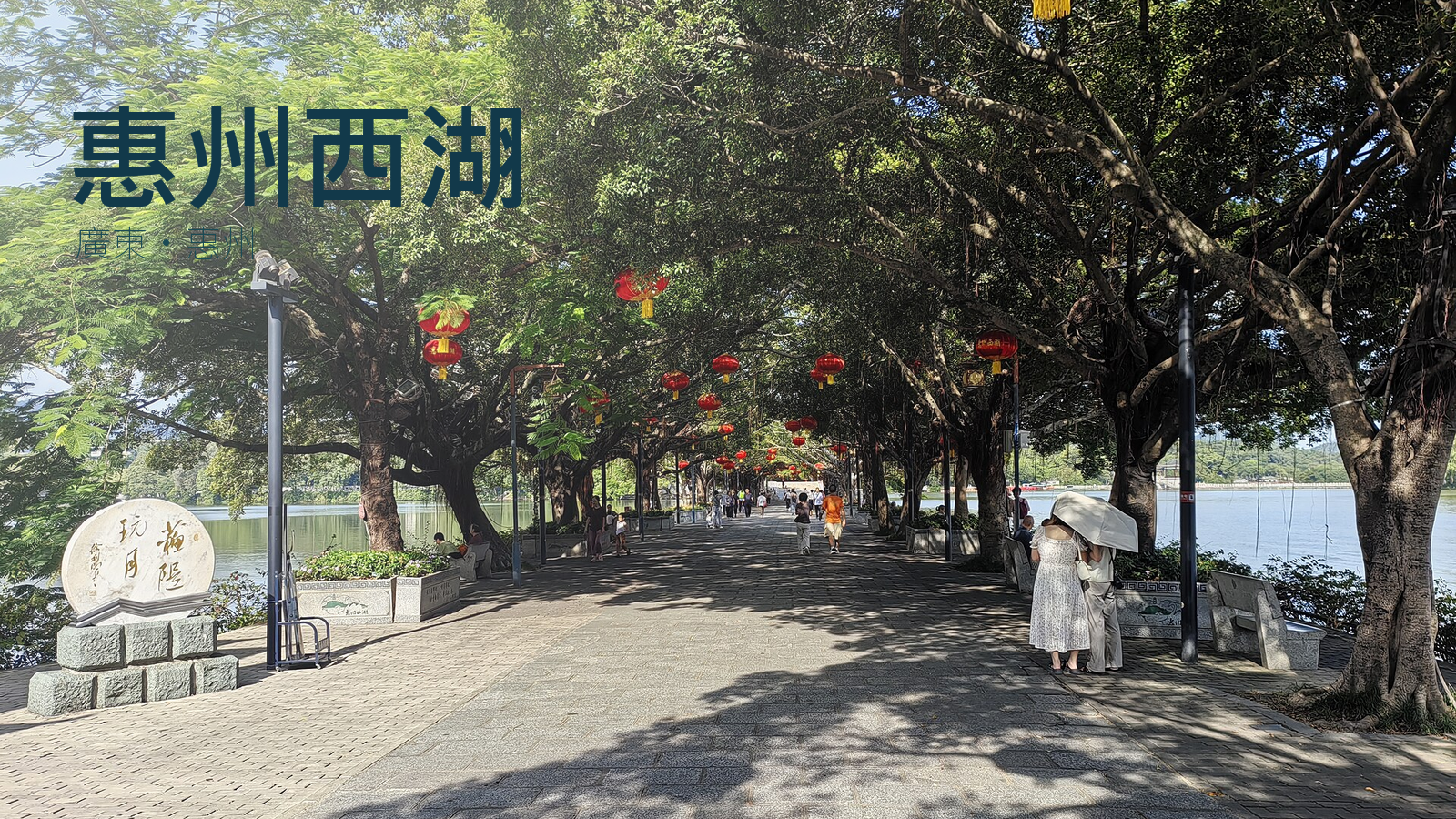 惠州西湖蘇堤2025年實拍改作封面