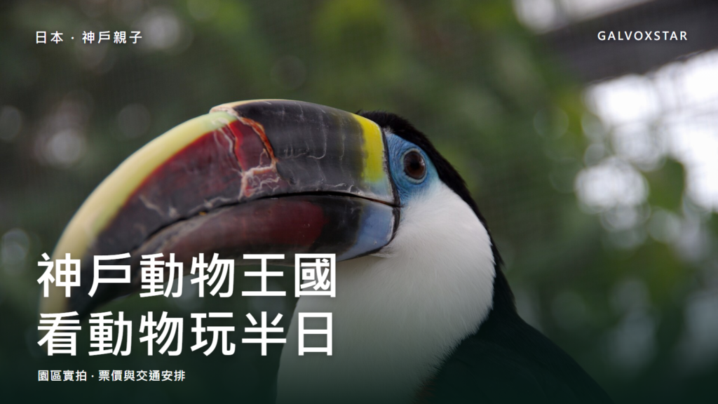 神戶動物王國巨嘴鳥實拍作背景的親子遊封面