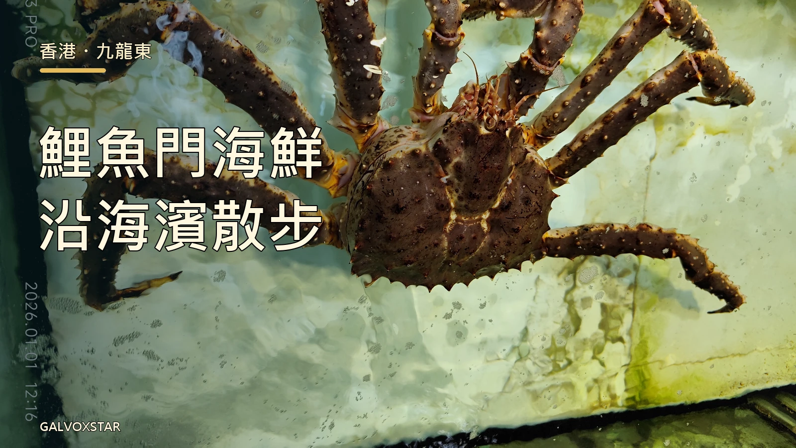 鯉魚門海鮮市場內的大蟹,封面字樣為鯉魚門海鮮與沿海濱散步