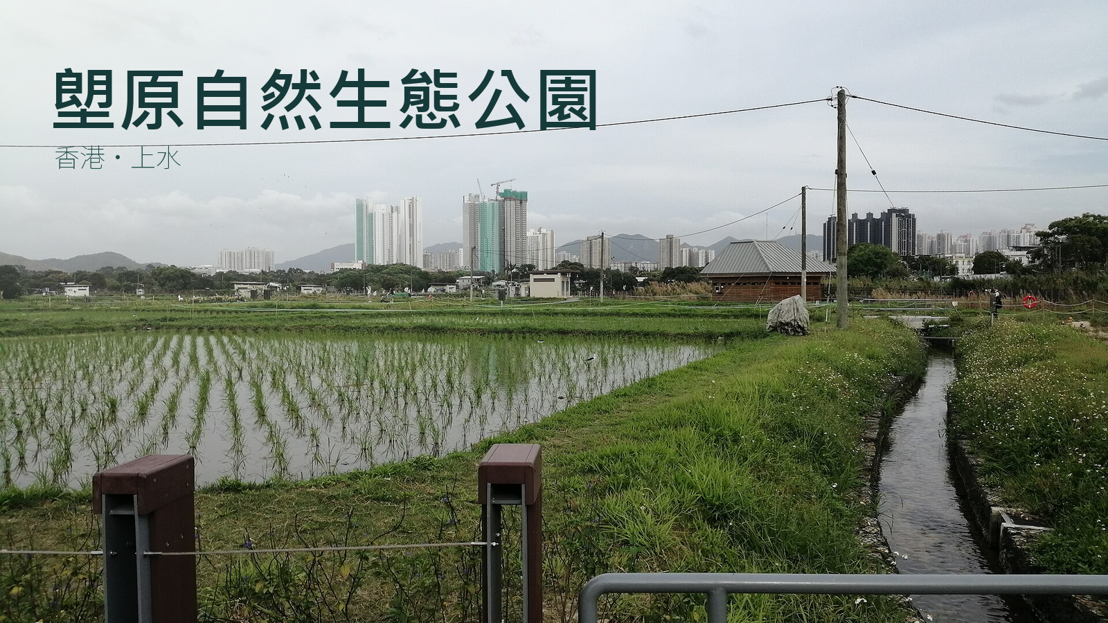 塱原自然生態公園2025年農田濕地照片改作封面