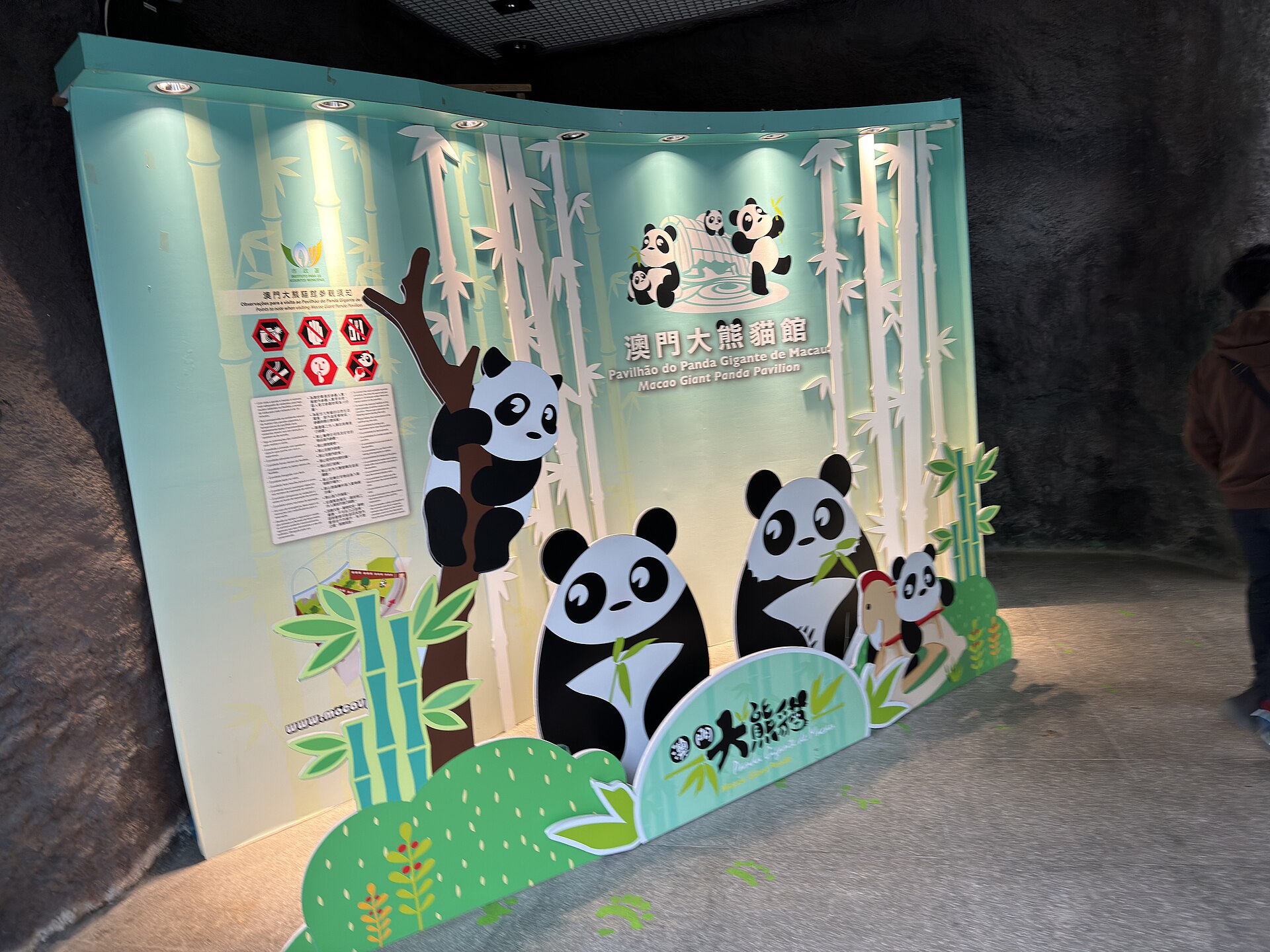 澳門大熊貓館入口熊貓展示牌,2024年實拍