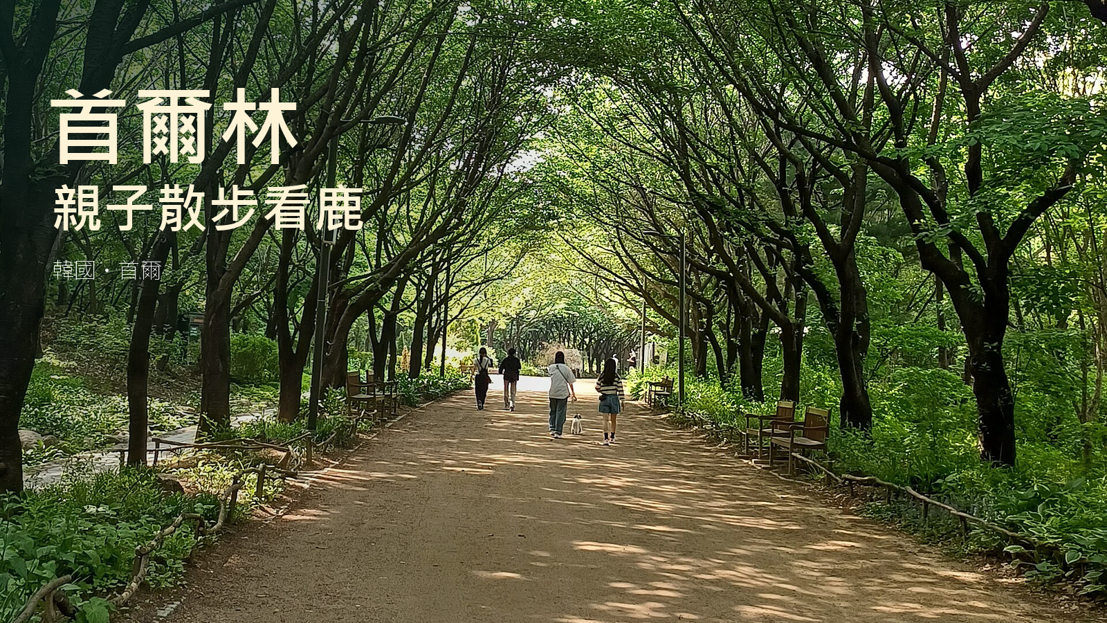 首爾林樹蔭步道2025年實拍改作親子遊封面