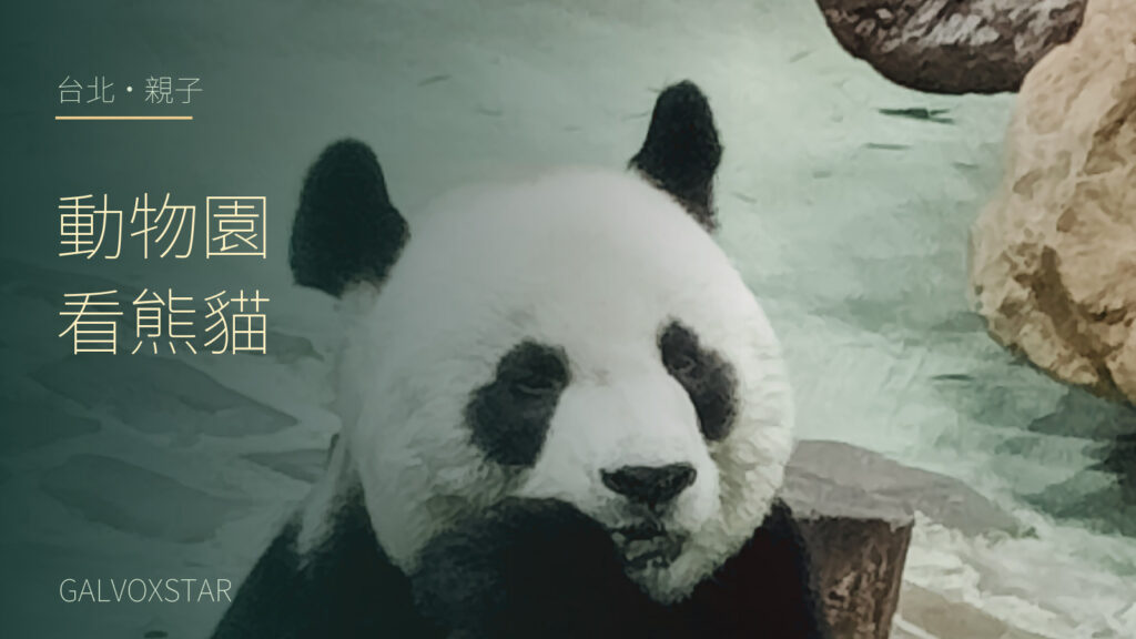 2024年臺北市立動物園熊貓實拍，加字封面