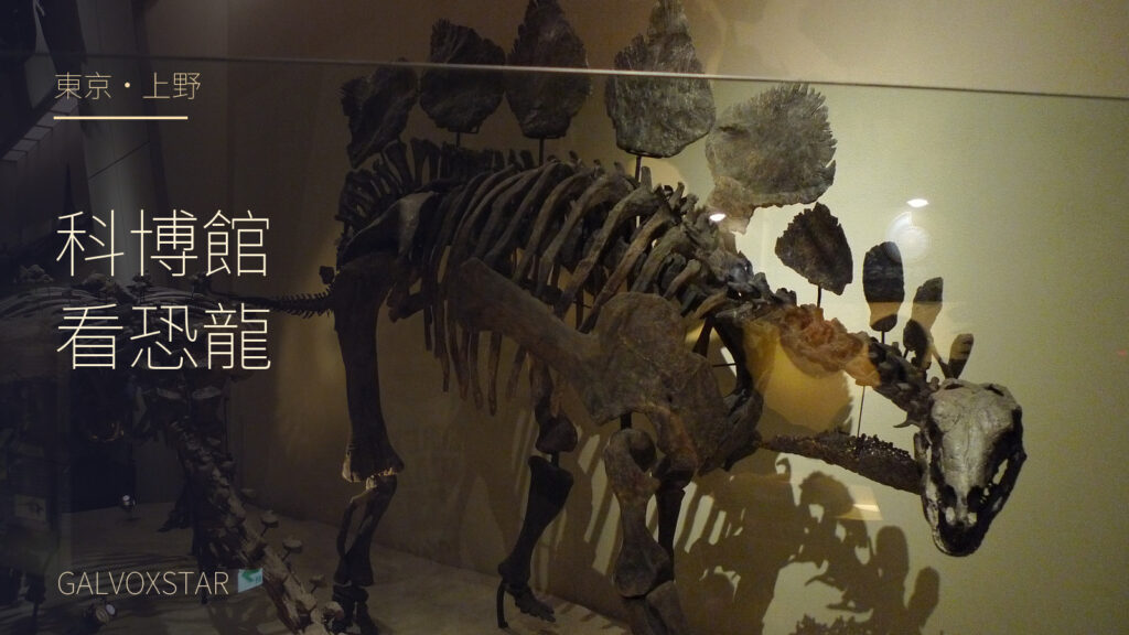 2009年東京國立科學博物館恐龍骨架實拍，加字封面