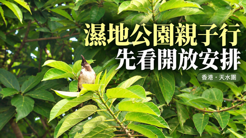 濕地公園親子遊2026封面
